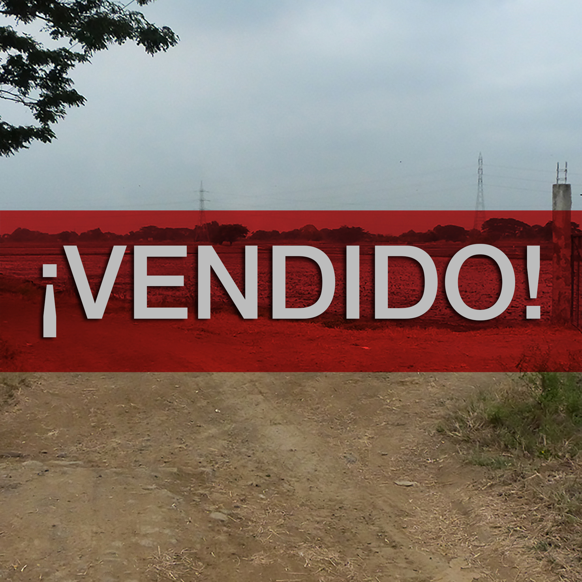 Concluido